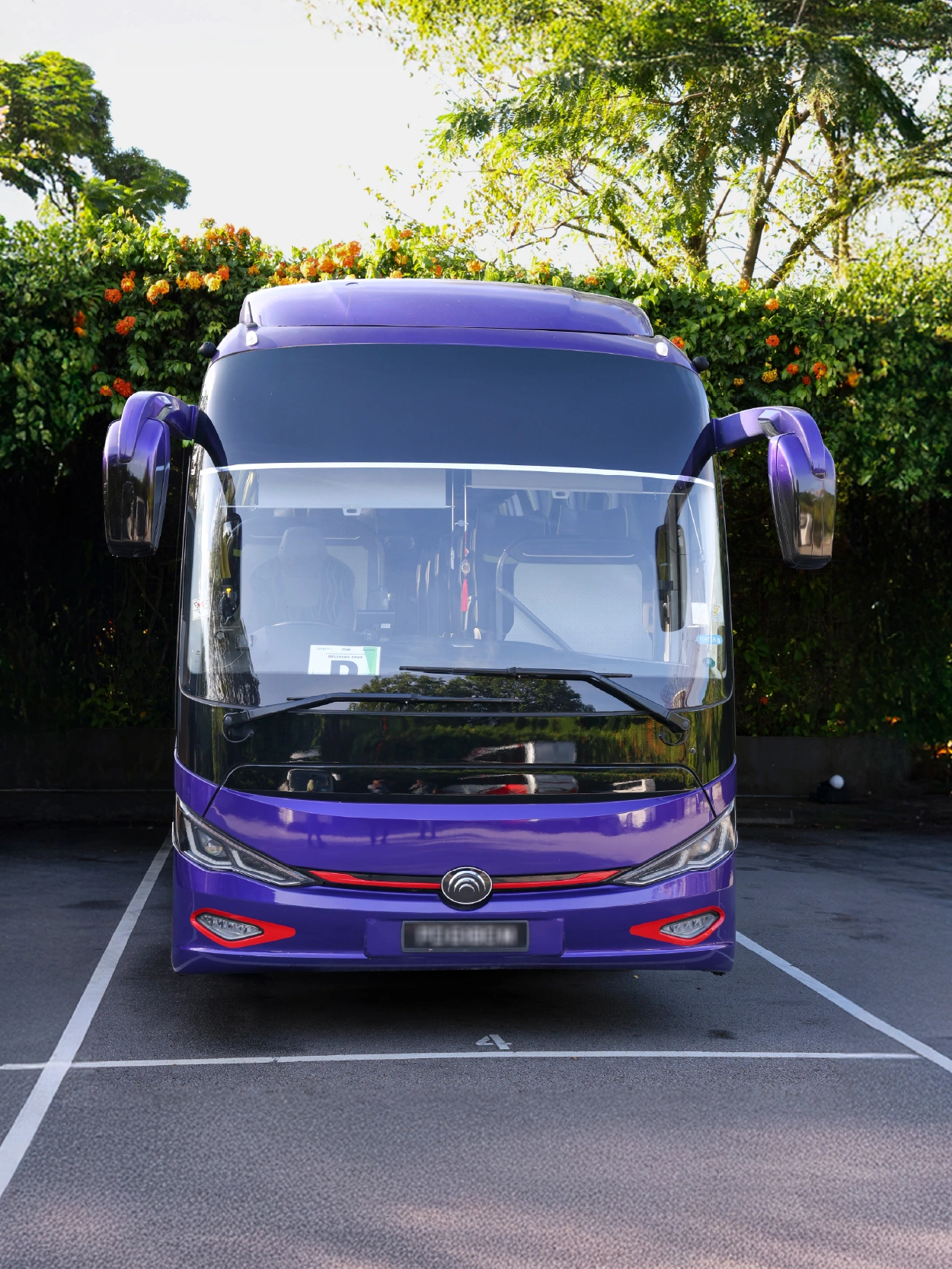 Purple coach bus front view