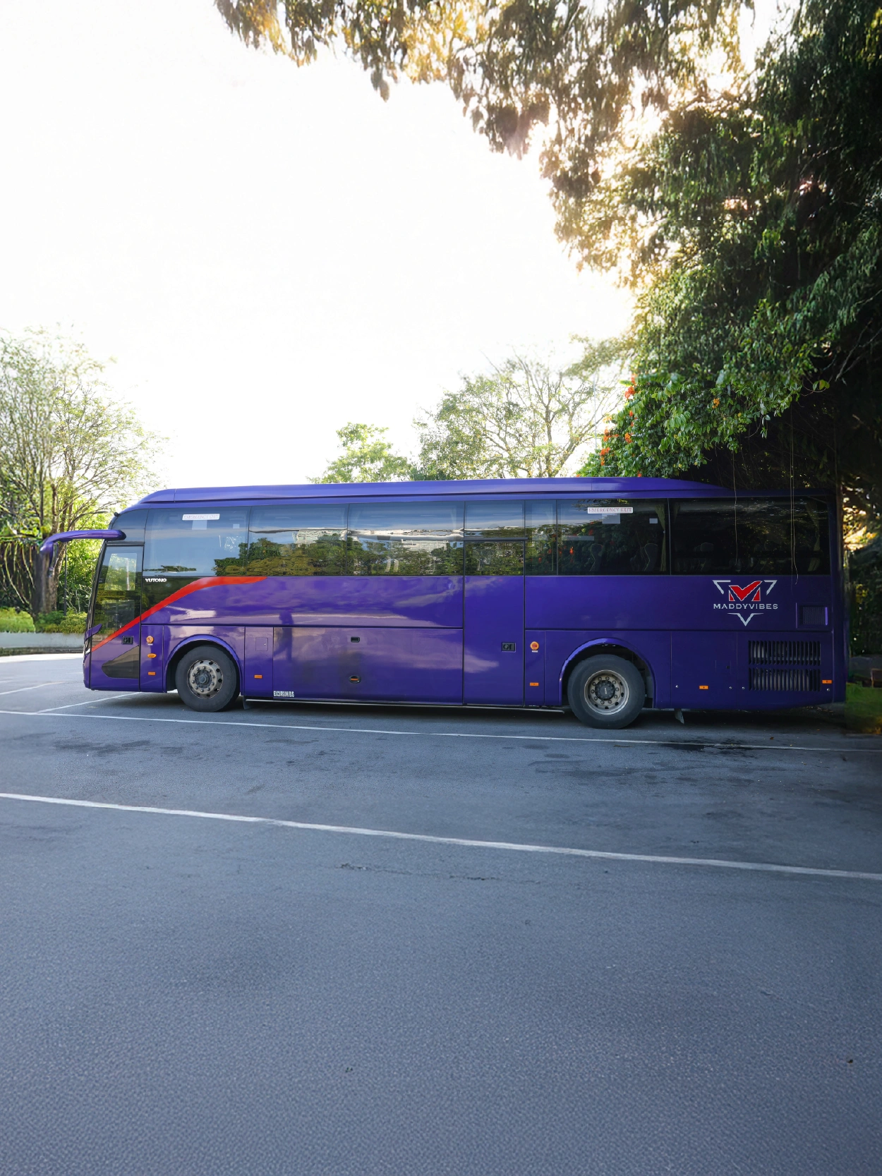 Purple coach bus side view