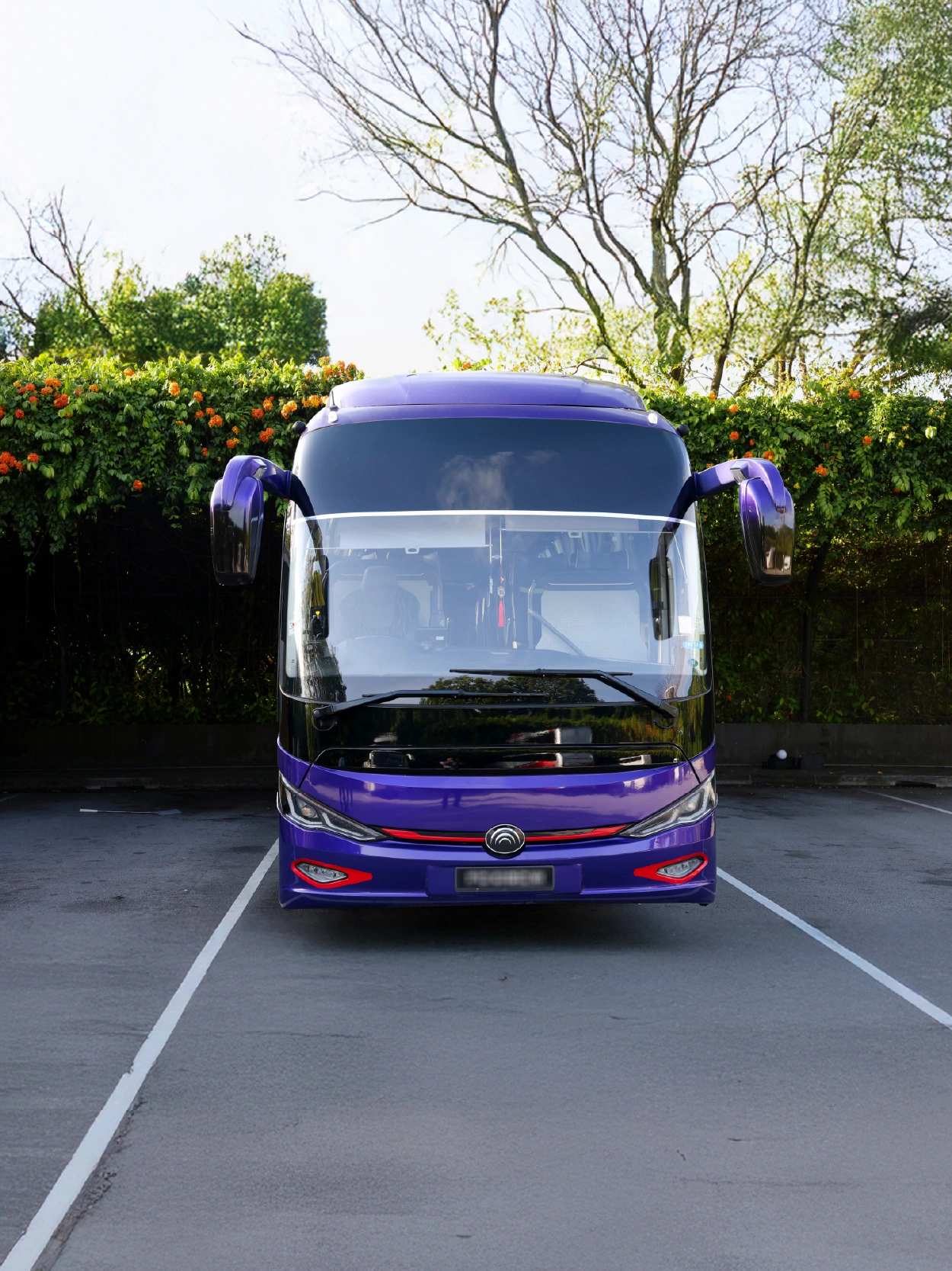 Purple coach bus front view